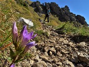 18 Gentiana anisodonta con vista su imponenti roccioni